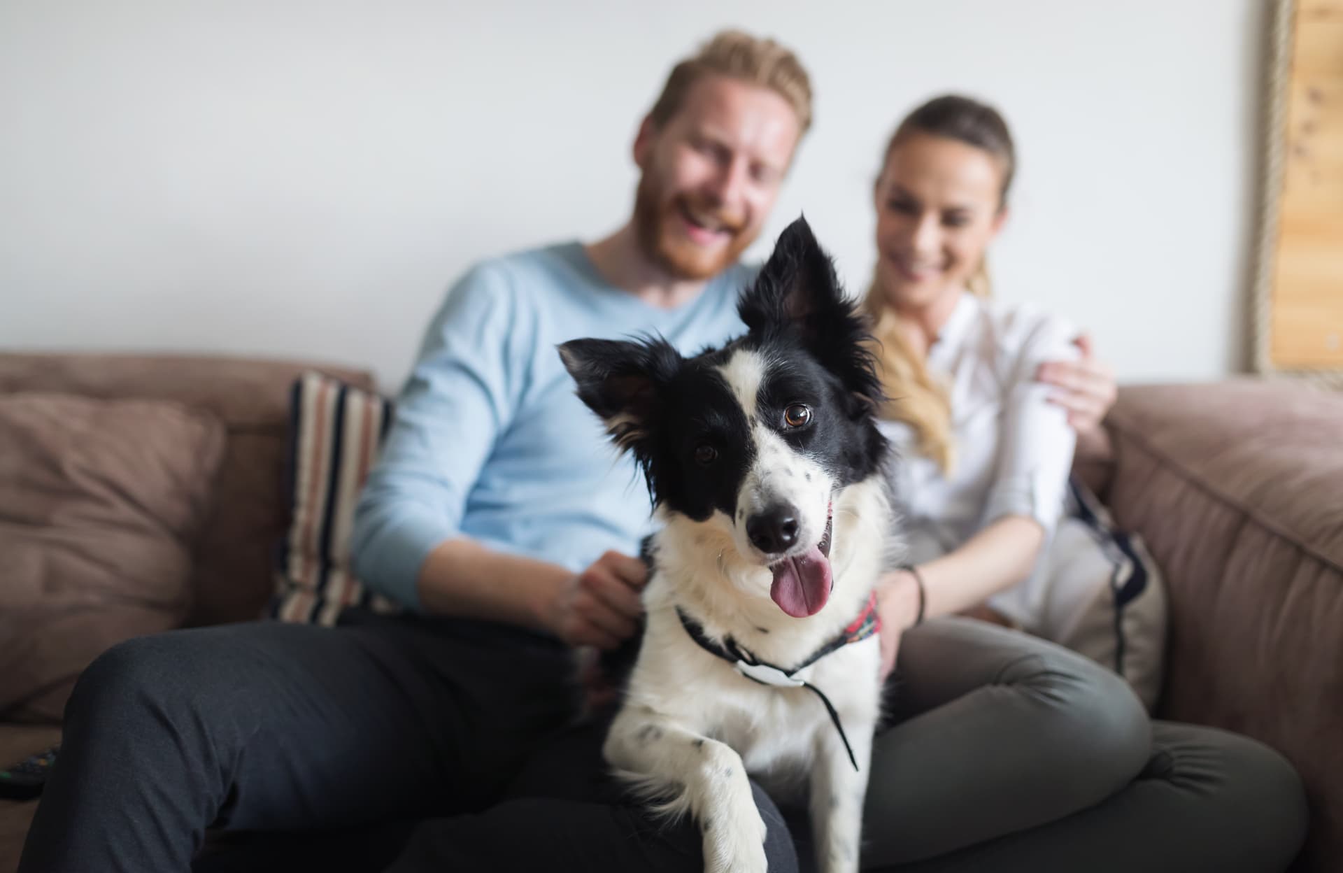 A smiling couple on a sofa with a black and white dog looking at the camera.