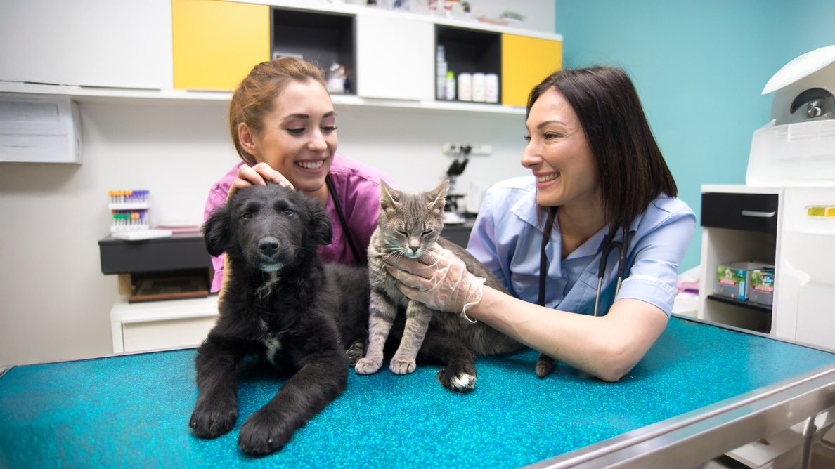 Two smiling veterinary team members with a black puppy and a gray cat on an exam table.